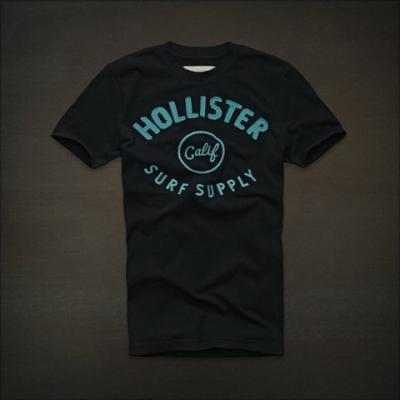 Hollister Men Shirts-387